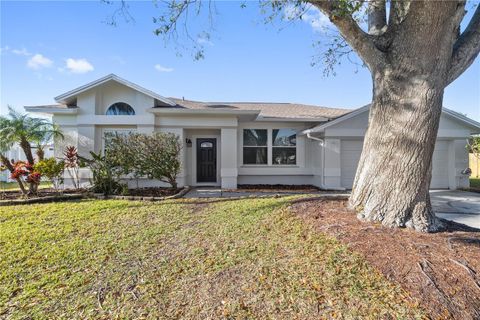 A home in TAMPA