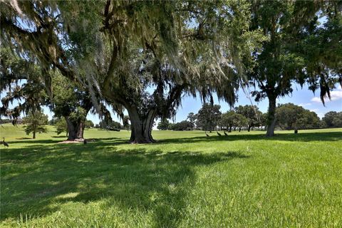 Tiny photo for 6500 SE 193rd Street, Micanopy, FL 32667 (MLS # OM691215)