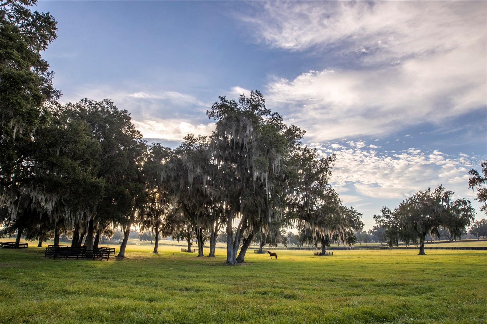 ACREAGE NON SUBDIVISION - Farm