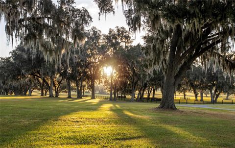 Tiny photo for 6500 SE 193rd Street, Micanopy, FL 32667 (MLS # OM691215)
