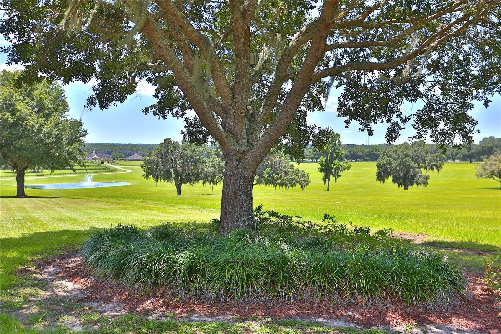 ACREAGE NON SUBDIVISION - Farm