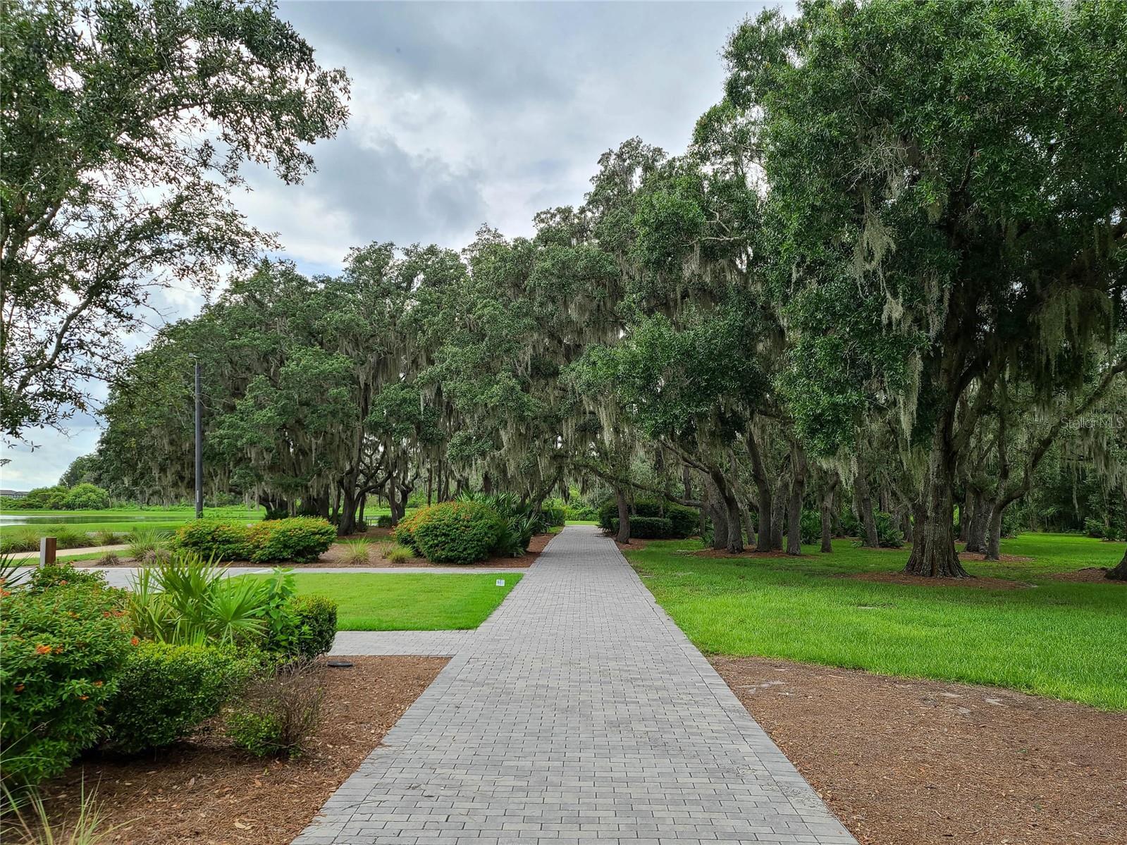 STARKEY RANCH PRCL C1 - Residential