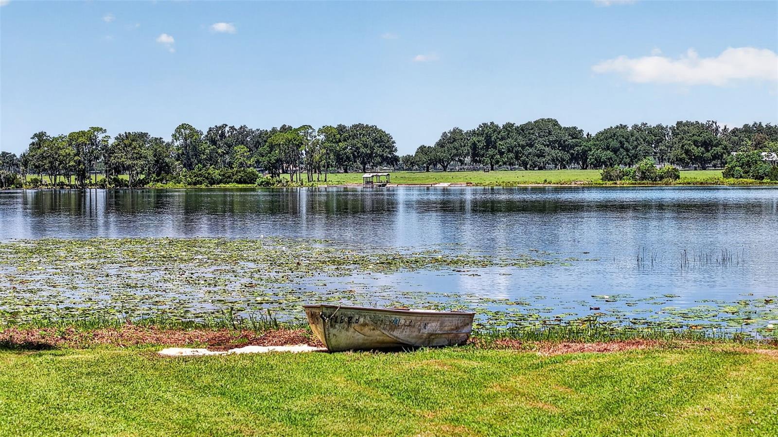 39411 COUNTY ROAD 439
