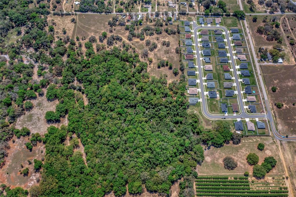 PRINCE ORANGE MANOR REP - Land