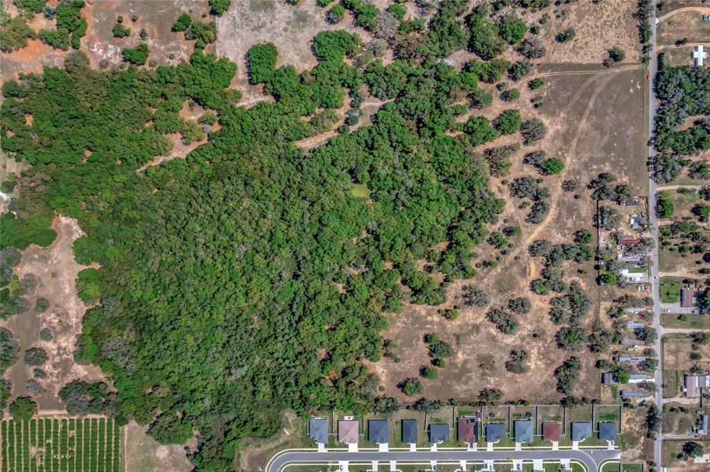 PRINCE ORANGE MANOR REP - Land