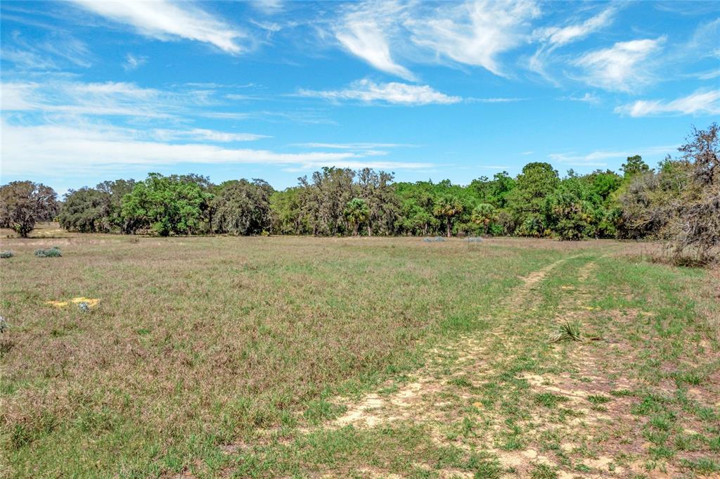 PRINCE ORANGE MANOR REP - Land