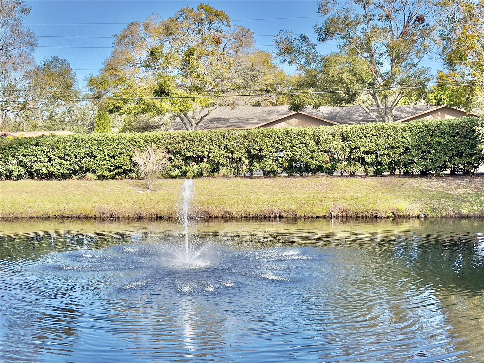 FOREST PARK CONDO - Residential