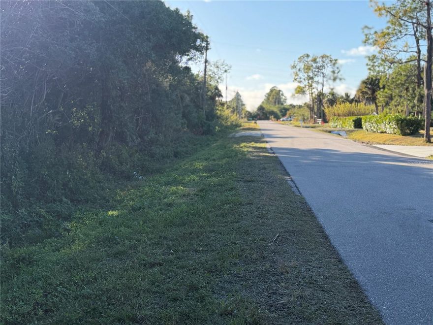 1.14 acre Lot Ready for Dream Home - ERP Permit issued Good Through 2029 - saving you time and money. 
Rare opportunity to build your custom 3100 sq ft home and save quite a bit of money on permitting 
This area is growing many new construction homes all around. This lot is still very private on a paved road with electric at the road.  
Property is not far from Naples Beaches and South of Ave Maria University.. 
clear and COMPLETED PROTECTED SPECIES REPORT...State DEP 404 mitigation Costs have been paid for you.  

Call for additional information and copy of reports.