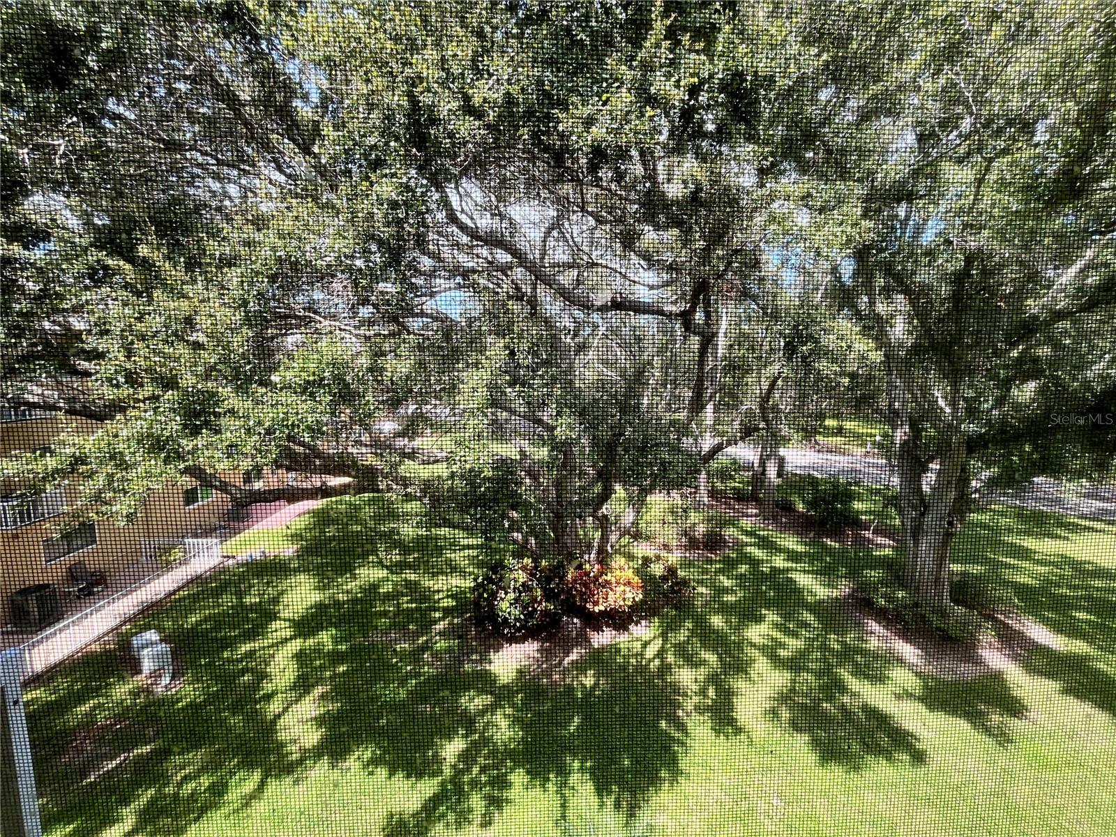 ON TOP OF THE WORLD - Residential