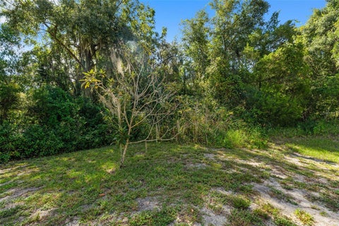 Tiny photo for 8943 Silver Lake Drive, Leesburg, FL 34788 (MLS # TB8553526)