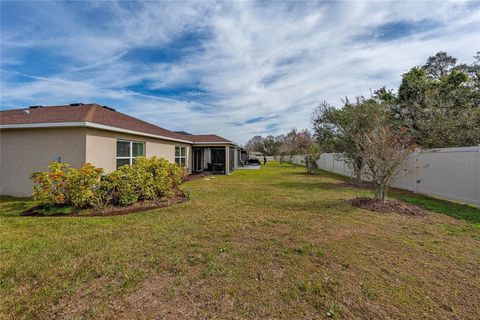 A home in KISSIMMEE