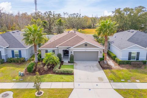 A home in KISSIMMEE