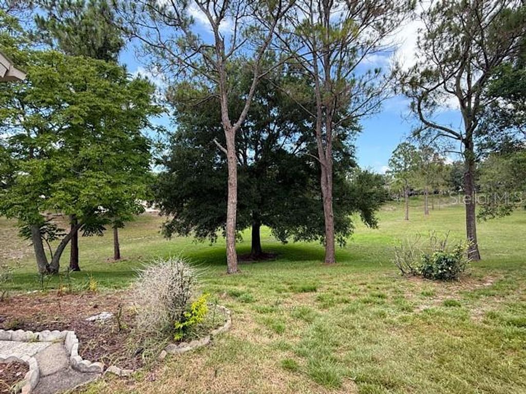 Photo of 2232 Springmeadow Drive, Spring Hill, FL 34606 (MLS # TB8526402)