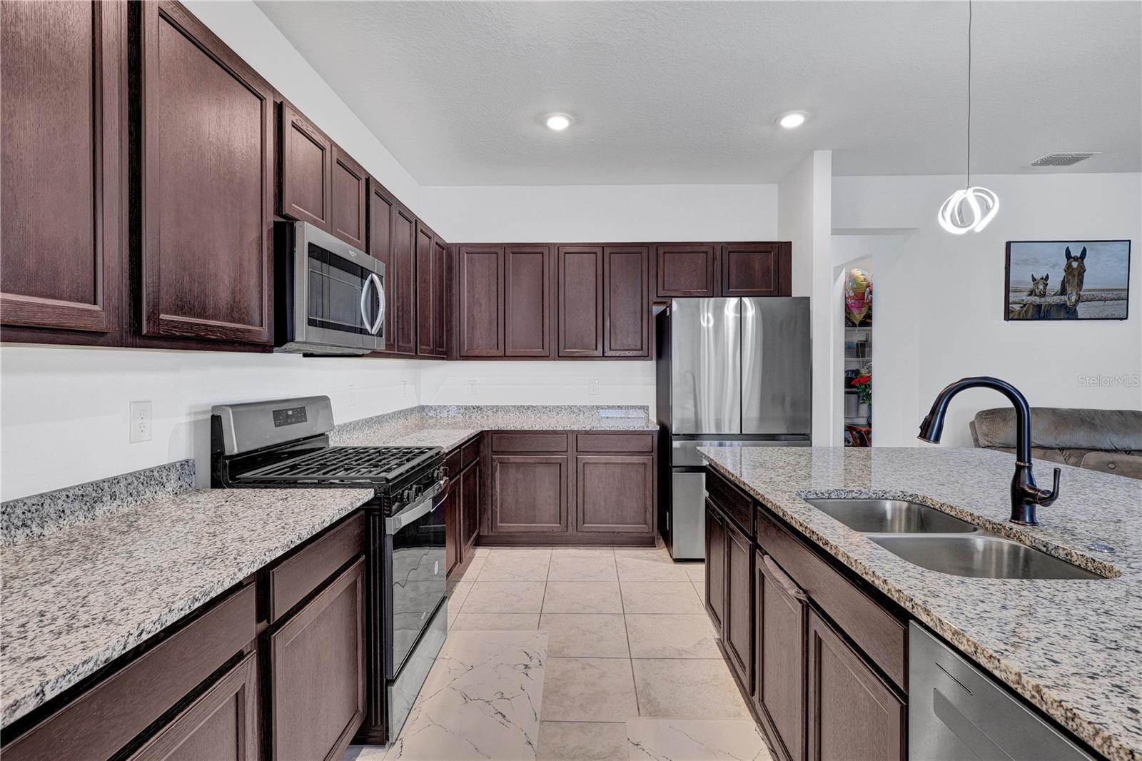 CALESA TOWNSHIP ROAN HILLS PH - Residential
