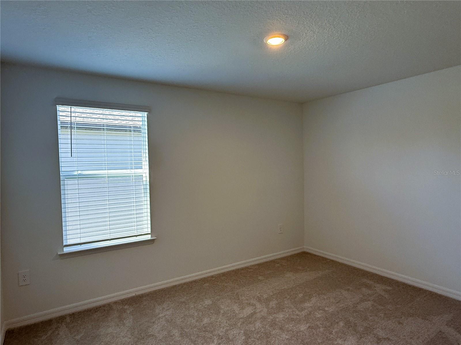 ANGELINE - Residential Lease