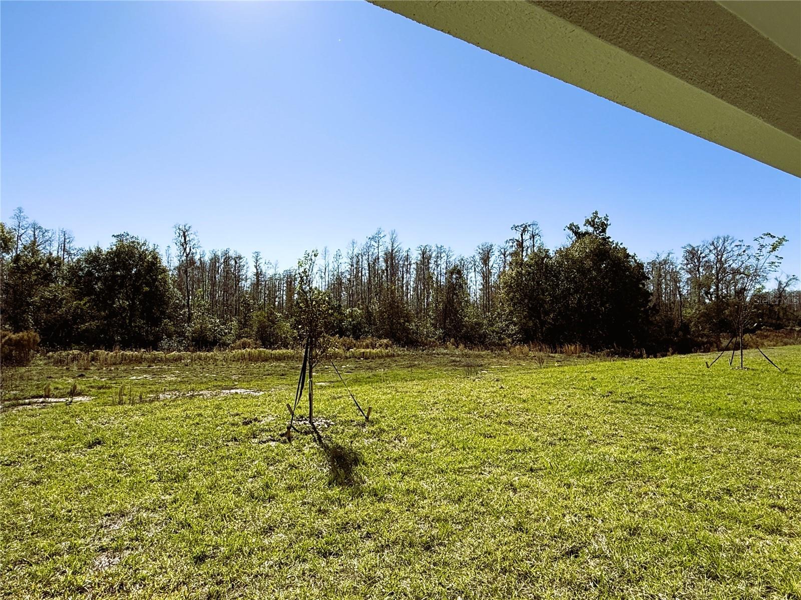 ANGELINE - Residential Lease