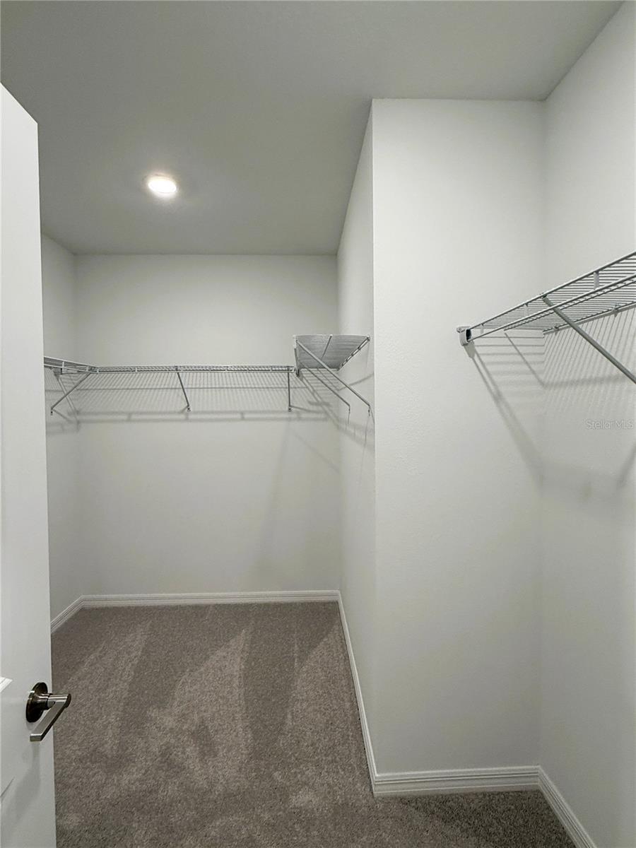 ANGELINE - Residential Lease