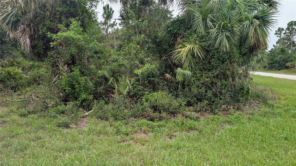 Photo of 130 Tillman Street, Port Charlotte, FL 33954 (MLS # C7510839)