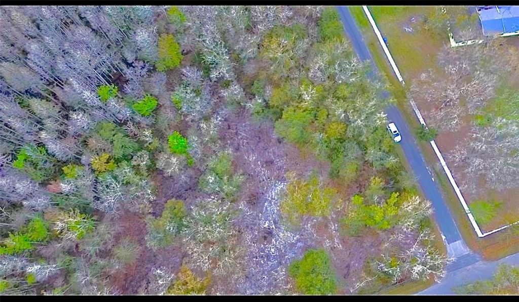 Photo of Broken Arrow Drive, Thonotosassa, FL 33592 (MLS # TB8397069)