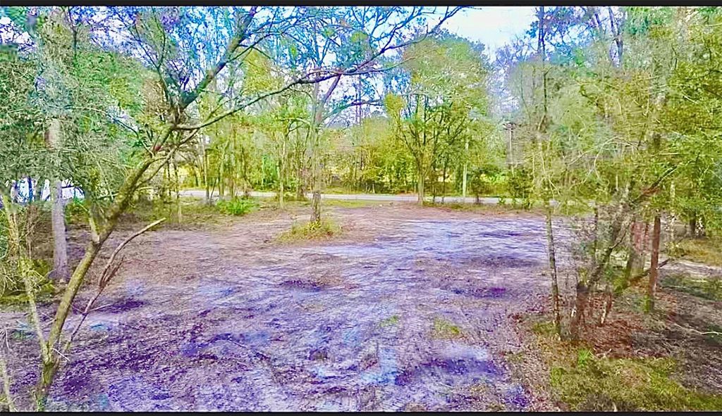 Photo of Broken Arrow Drive, Thonotosassa, FL 33592 (MLS # TB8397069)