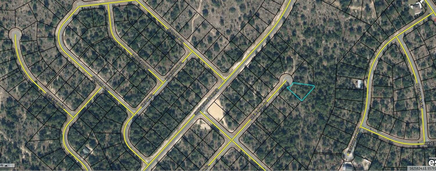 OVERSIZED LOT UNDER MARKET VALUE!