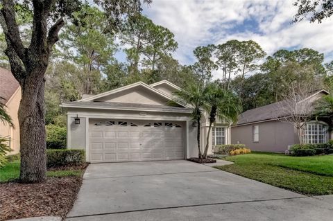 10426 SPRINGROSE DRIVE TAMPA FL 33626