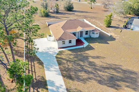 Photo of 1464 N Hambletonian Drive, Hernando, FL 34442 (MLS # TB8465127)