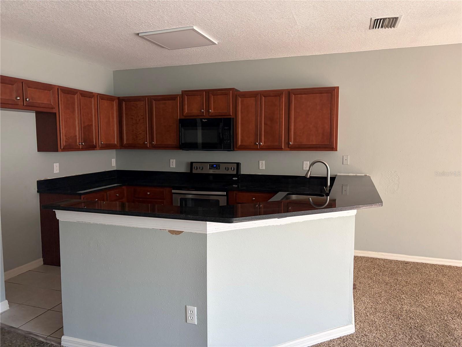 9609 CARLSDALE DRIVE