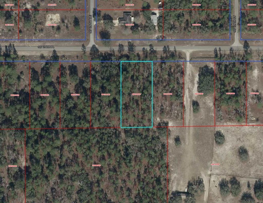 Photo of 00000 SE 114th Place, Dunnellon, FL 34431 (MLS # TB8480166)