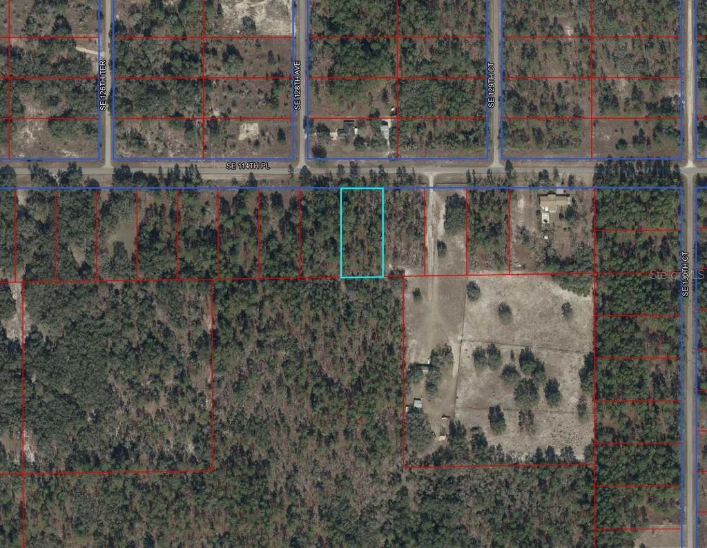 Photo of 00000 SE 114th Place, Dunnellon, FL 34431 (MLS # TB8480166)