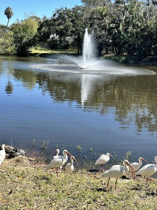 RIO VISTA - Residential Lease