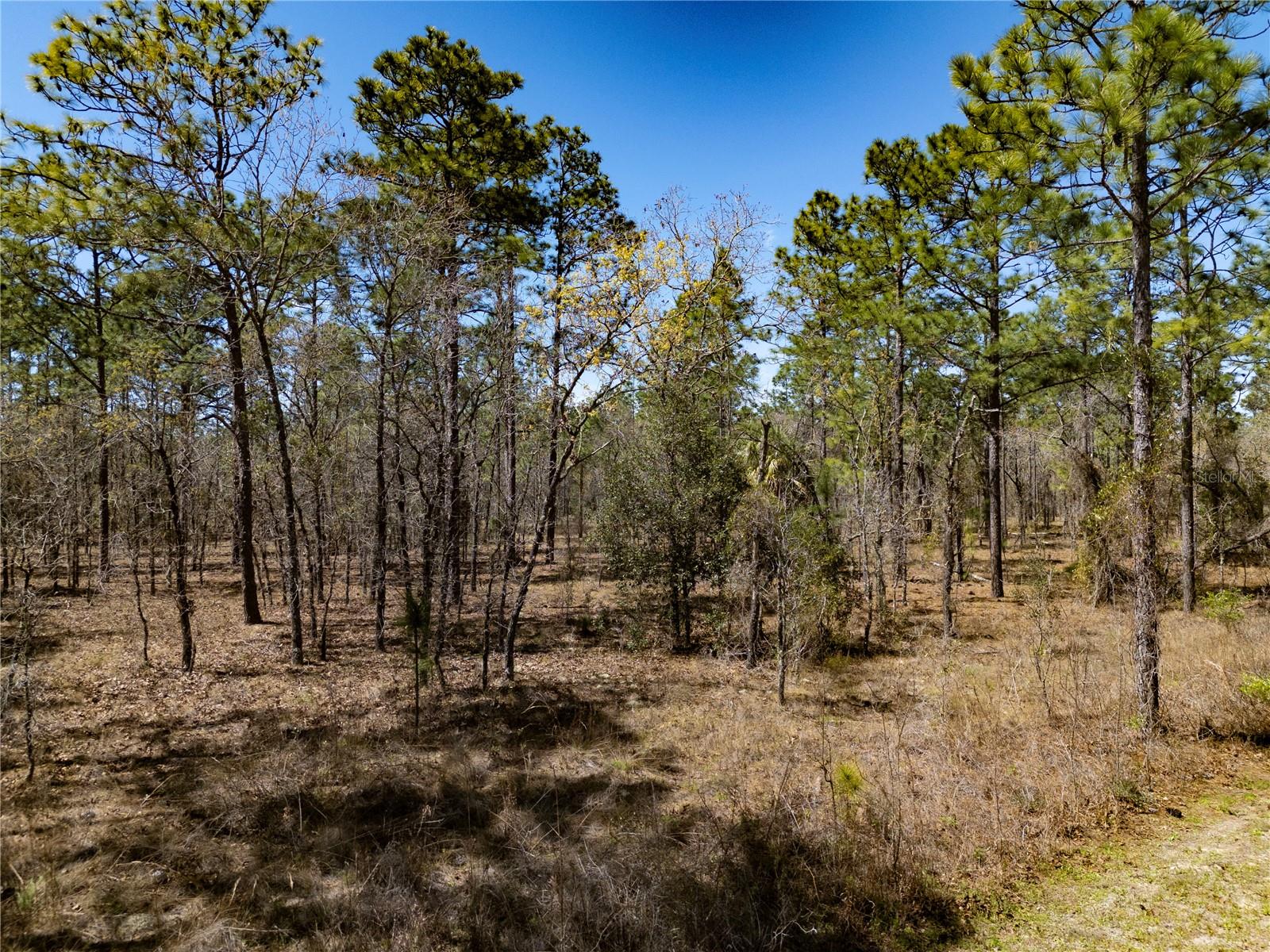 RAINBOW LAKES ESTATES SEC O - Land