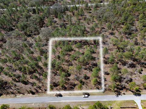 HOLLY RD DUNNELLON FL 34432