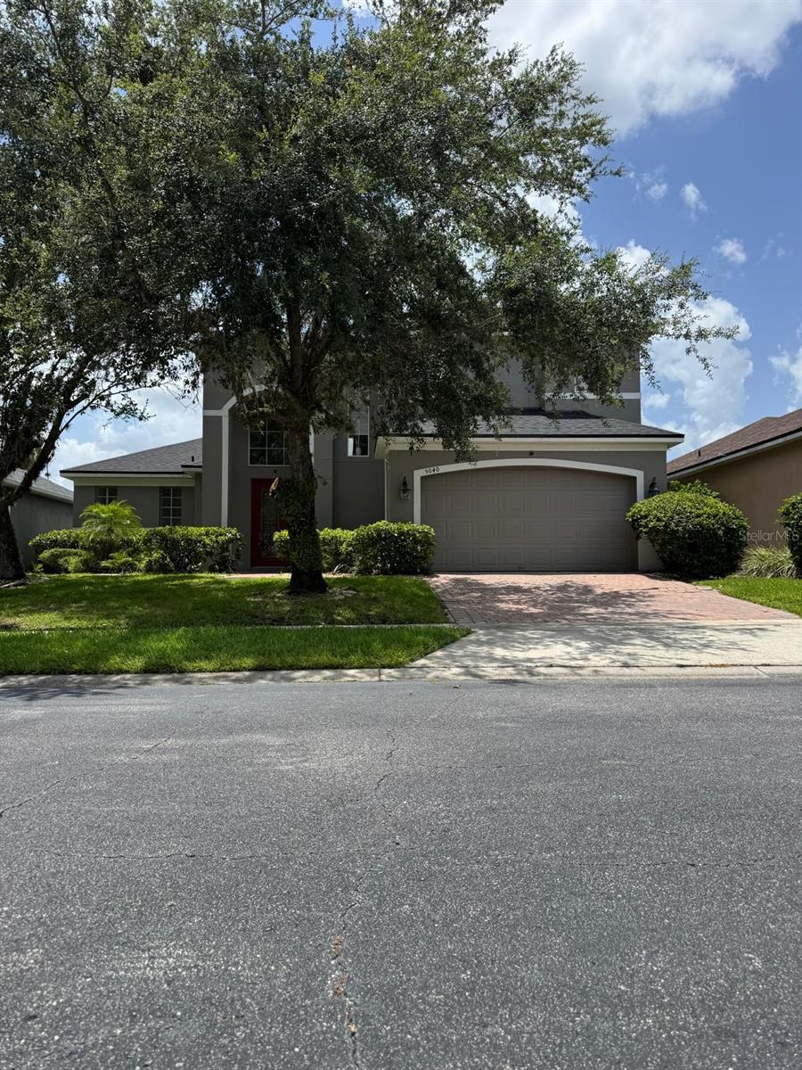 5040 ROCK ROSE LOOP