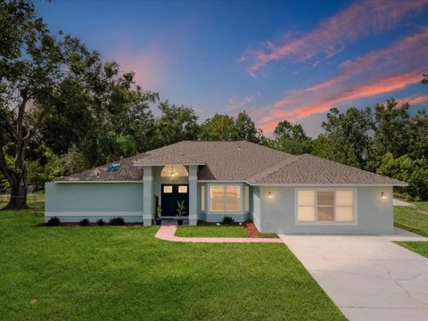Photo of 4219 Surfside Circle, Spring Hill, FL 34606 (MLS # W7879375)