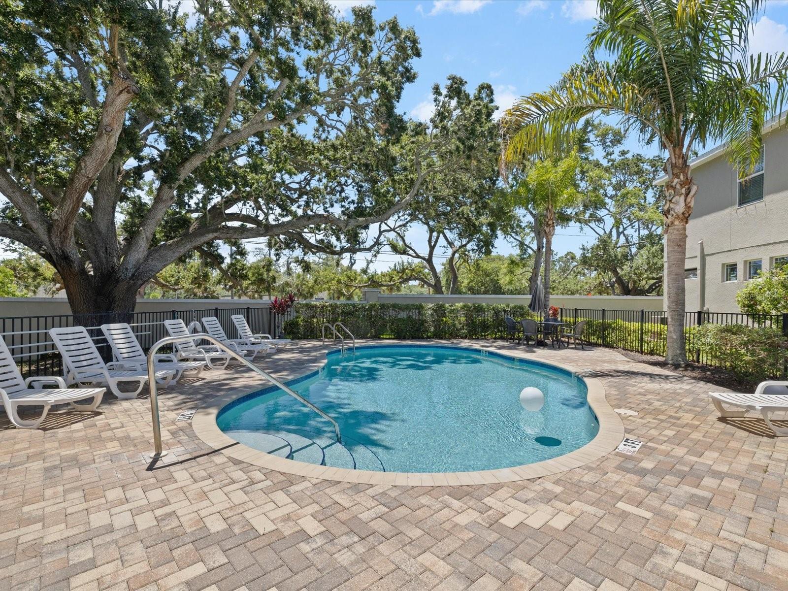 HARBOR SPGS OF PALM HARBOR - Residential