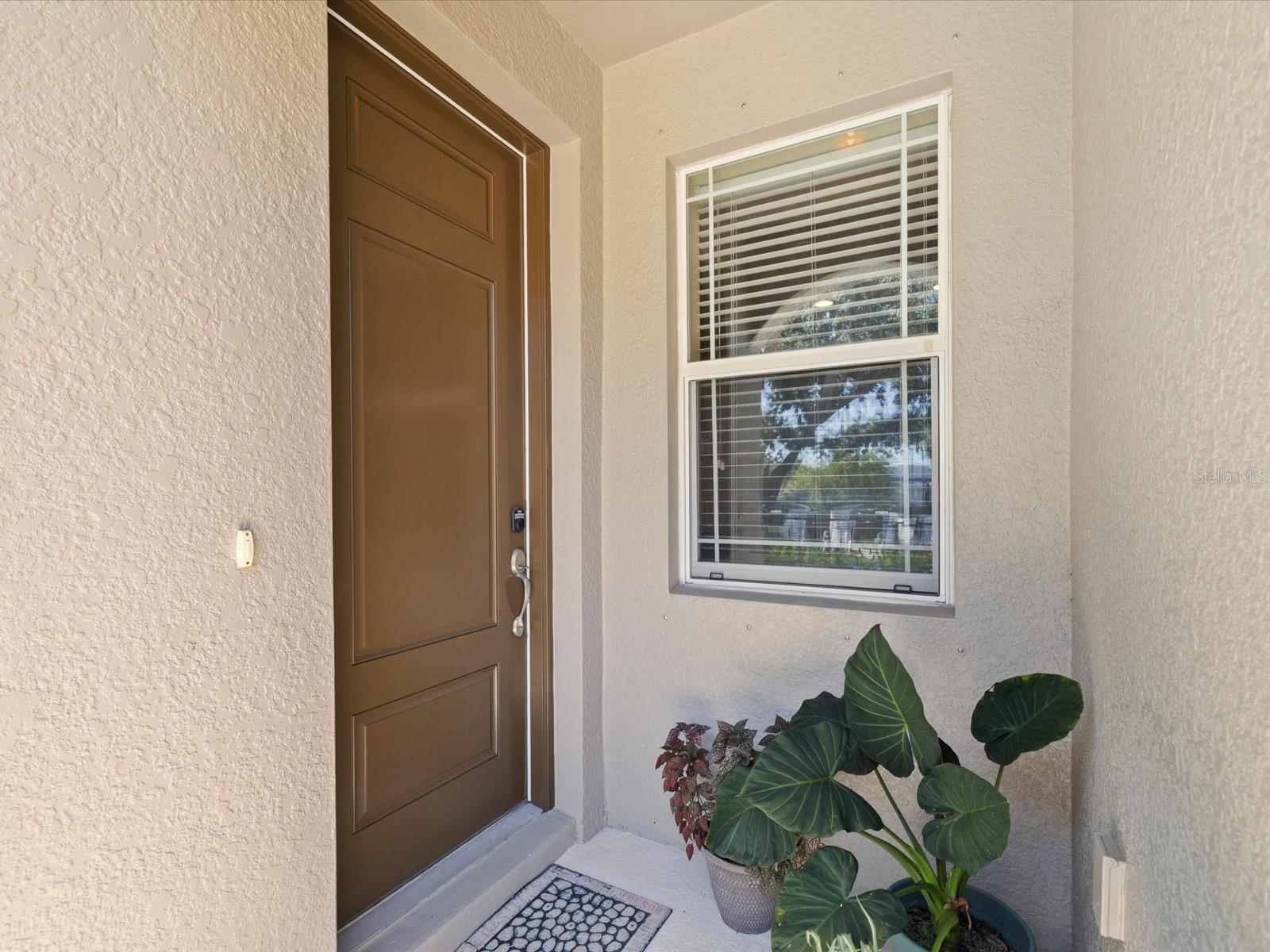 HARBOR SPGS OF PALM HARBOR - Residential