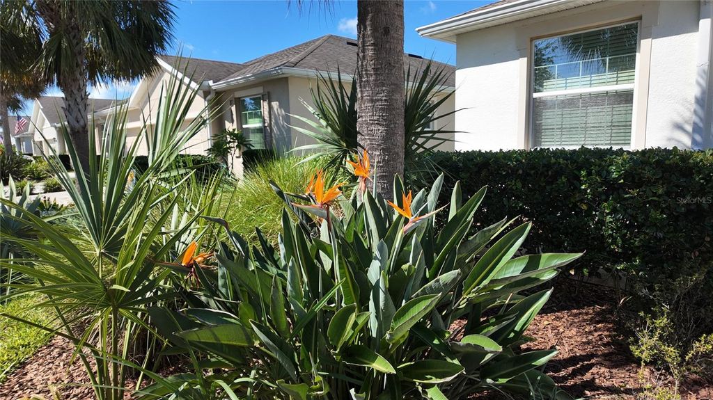 Photo of 7690 Timberview Loop, Wesley Chapel, FL 33545 (MLS # TB8431422)