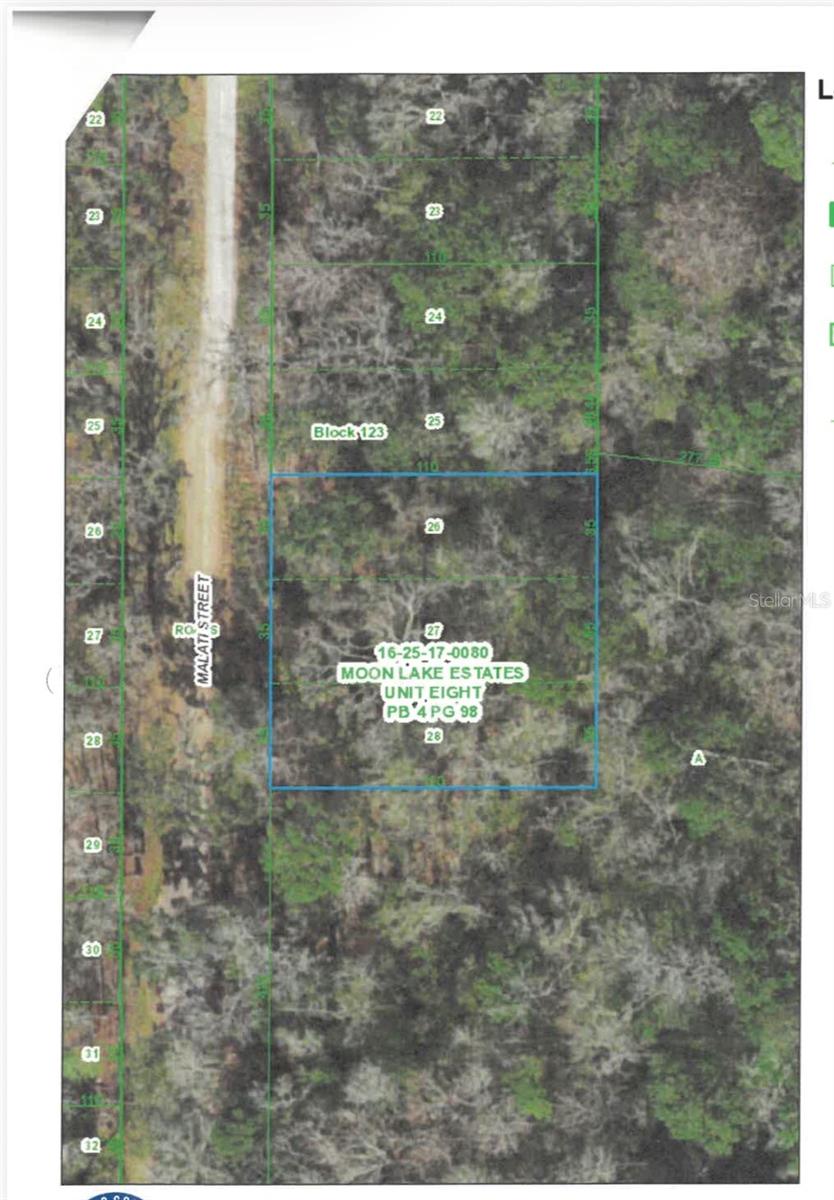 Photo of Malati Street, New Port Richey, FL 34654 (MLS # TB8558575)