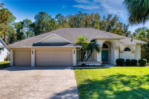 A home in PALM COAST