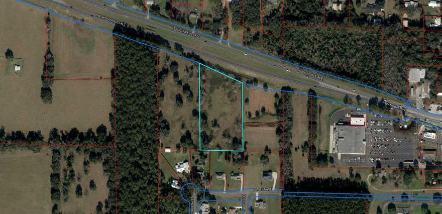 This beautiful lot is in the perfect location for a retail business in the growing community of Williston.  Just past Winn Dixie on the left as you go north.  It is in front of a growing subdivision which makes it perfect for a business that the homeowners could just walk to enjoy shopping.