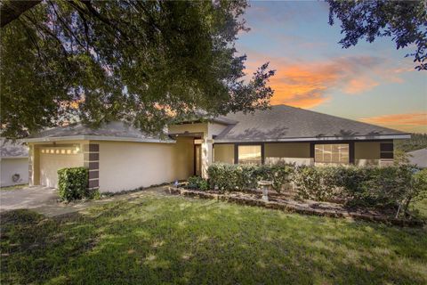 A home in MINNEOLA