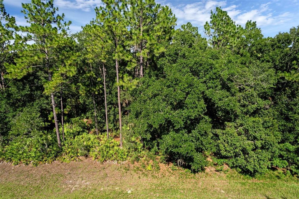 Photo of 6733 N Nantucket Way, Dunnellon, FL 34434 (MLS # S5131282)