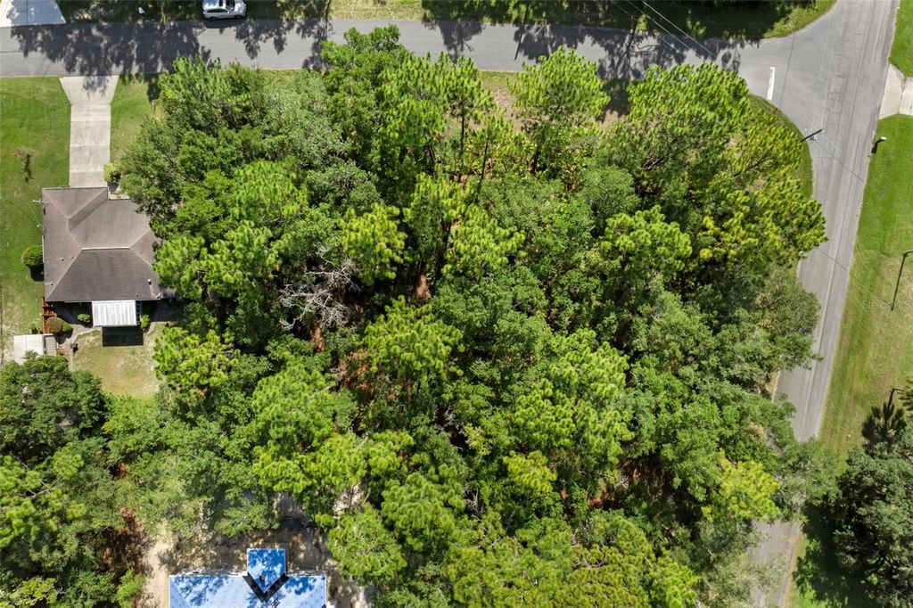 Photo of 6733 N Nantucket Way, Dunnellon, FL 34434 (MLS # S5131282)