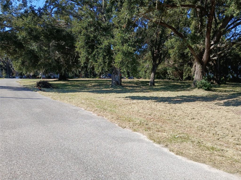 Photo of 14424 Ellerbee Street, Winter Garden, FL 34787 (MLS # O6361850)