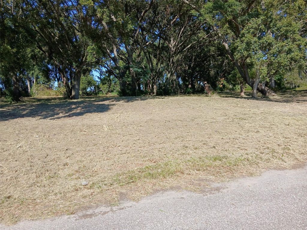 Photo of 14424 Ellerbee Street, Winter Garden, FL 34787 (MLS # O6361850)