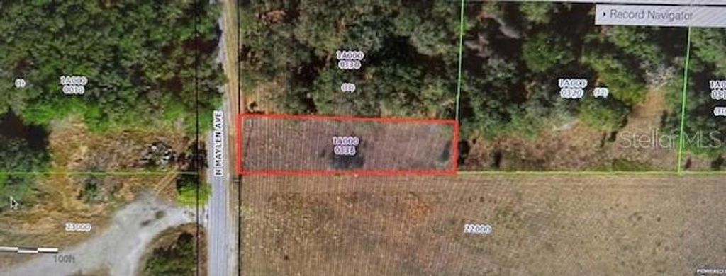 Photo of 1251 N Maylen Avenue, Lecanto, FL 34461 (MLS # TB8449019)