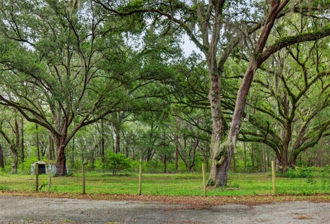 Tiny photo for 11795 SW Highway 484, Dunnellon, FL 34432 (MLS # O6423543)