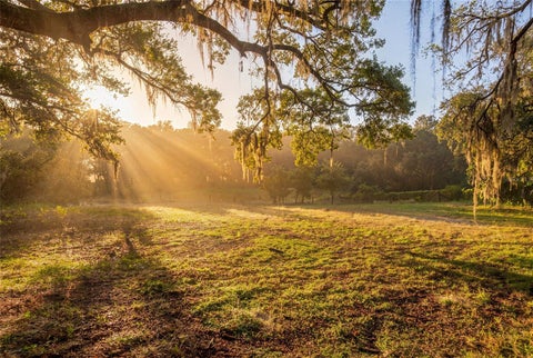 Tiny photo for 11795 SW Highway 484, Dunnellon, FL 34432 (MLS # O6423543)