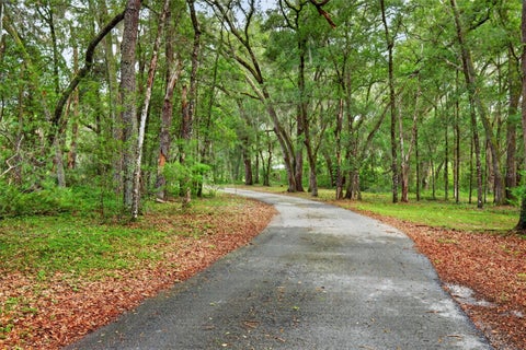 Tiny photo for 11795 SW Highway 484, Dunnellon, FL 34432 (MLS # O6423543)